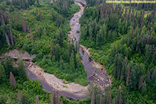 Wolverine Creek